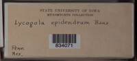 Image Associated With the Occurence